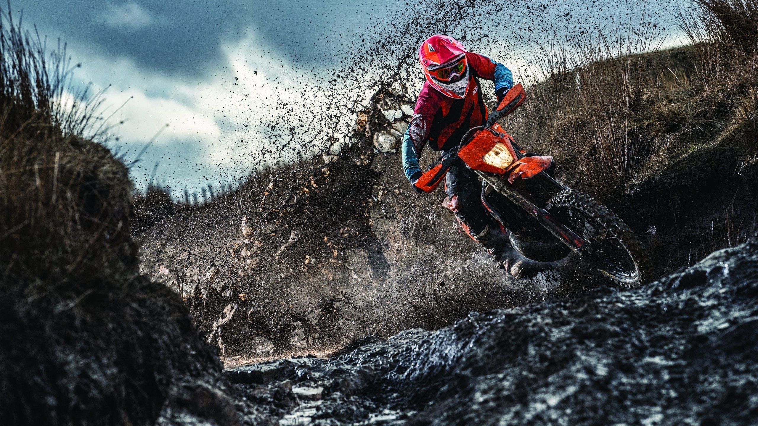 贝林厄姆硬仗之王，马里击败埃及，非洲足球的暗流与新生代王者的加冕