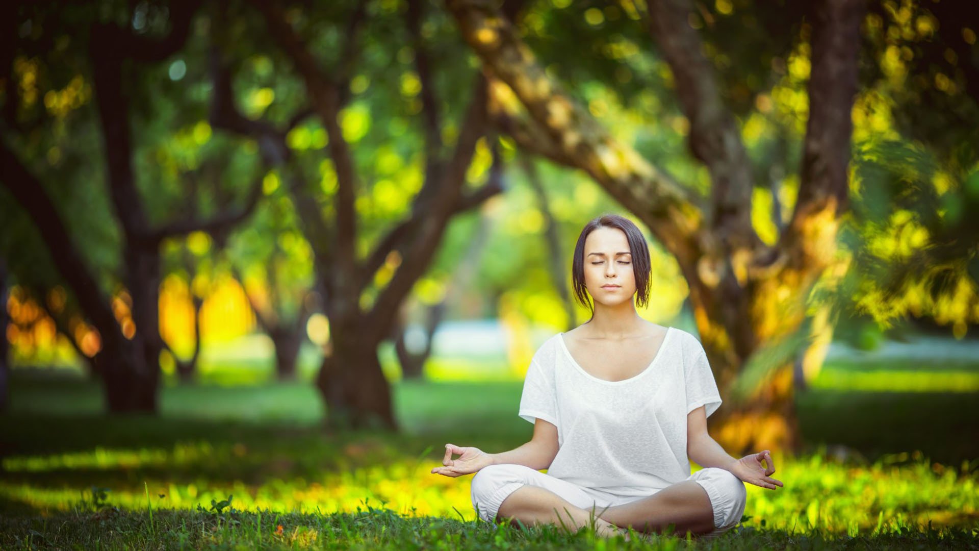 郁金香复仇之夜,范戴克统帅防线,斯洛伐克高压绞杀尼日利亚